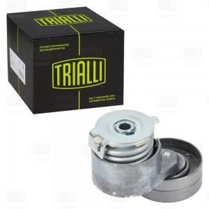 Ролик приводного ремня с натяжным механизмом CM 5272 TRIALLI