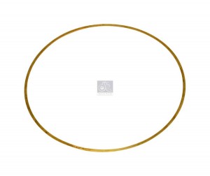 Шайба регулир. гильзы 0.30 мм DS11 110603 DIESEL TECHNIC