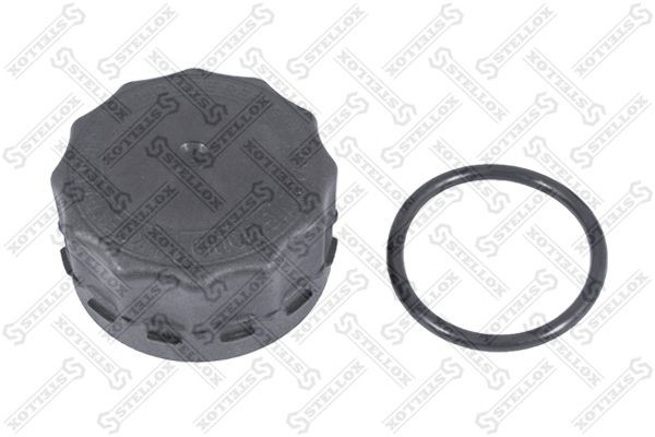 крышка расширительного бачка! (п)\ DAF XF95/105 89-05209-SX STELLOX