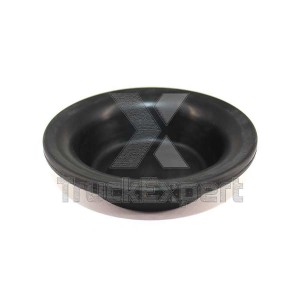 MAN/MB T9 МЕЛКАЯ 34700016 TRUCKEXPERT