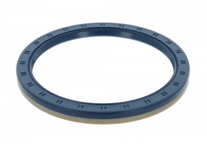 Сальник ступицы 145x175x14мм AW/BS БНК DC+ MAN/MB 145x175x14 БНК  B1BASL 12014740B CORTECO