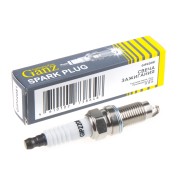 VAG/BMW/FIAT PLATINUM / IRIDIUM GIP22081 GANZ