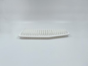 Фильтр воздушный TOYOTA Rav4 II 2.0 WTi 00-, Previa II 00- GB-919 GB919 BIG FILTER