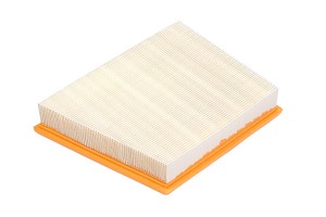 Фильтр воздушный LAND ROVER Range Rover Sport RAF FILTER AF038 RAF FILTER