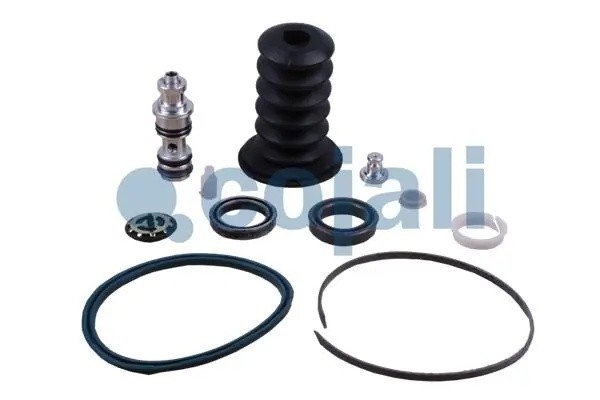 Ремкомплект RENAULT Premium,Magnum,Kerax ПГУ COJALI 6034032 COJALI