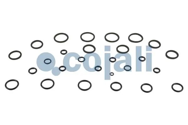 Р/к блока клапанов ELC 6014172 COJALI