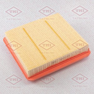 GEELY COOLRAY (2018>) TBC1316 TATSUMI