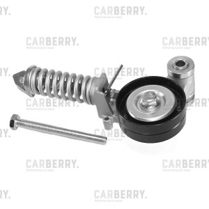 Натяжитель поликлин.ремня с роликом 55CA256 55CA256 CARBERRY