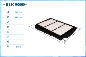 Фильтр воздушный B13CR0060 B13CR0060 CWORKS