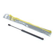 RENAULT DUSTER (2012>) GIA01035 GANZ