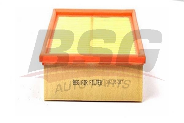 Фильтр воздушный FORD Focus (04-) BSG BSG30135017 BSG