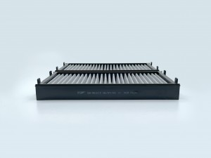 Фильтр салонный (угольный) (2 шт.) BMW X5 (E70, F15) 07-, X6 (E71, F16) 08- GB-9 GB-9810/C BIG FILTER