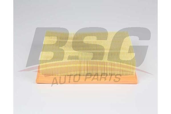 Фильтр воздушный LAND ROVER Discovery 3,Range Rover 3 (04-) BSG BSG15135020 BSG