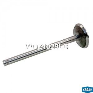 Клапан выпускной WOZ1029LS WOZ1029LS KRAUF