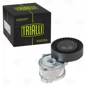 Ролик привод. ремня Volvo XC60 (07-)/S80 (06-) 2.0i/2.4i/2.5i (с натяж. мех.) (C CM5385 TRIALLI
