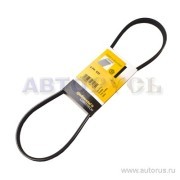 Ремень поликлиновой 4PK925 4-PK-925 CONTITECH