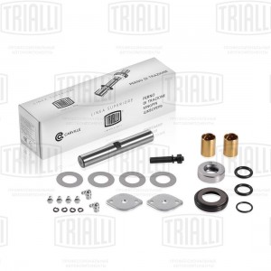 Ремкомплект поворотного кулака ГАЗ 3302 (1 шкворень c подшипником) "TRIALLI" SH 0320 TRIALLI