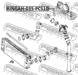 Кольцо уплотнительное воздушного патрубка MERCEDES BENZ ML-CLASS 04-11 (компл-10 RINGAH-035-PCS10 FEBEST