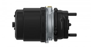 Энергоаккумулятор (дисковый тормоз) TYPE 20/24 IBV Voss 230/232 9254800050 WABCO