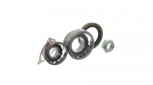 Комплект подшипника ступицы IVECO VKBA1385 SKF