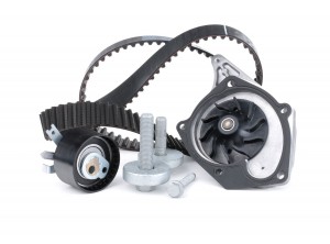 RENAULT KANGOO (2003-2007) 530 0197 31 INA