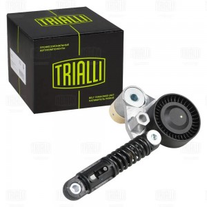 Ролик привод. ремня SsangYong Actyon (12-)/New Actyon (10-) 2.0d (с натяж. мех.) CM 5148N TRIALLI