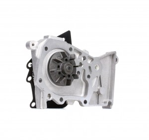 RENAULT CLIO/LAGUNA/MEGANE VAZ LADA LARGUS (2011>) R236 DOLZ