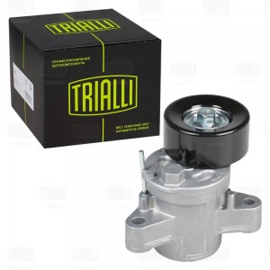 Ролик привод. ремня Mitsubishi Lancer X (07-) 1.8i/2.0i/2.4i (с натяж. мех.) (70 CM 5558N TRIALLI