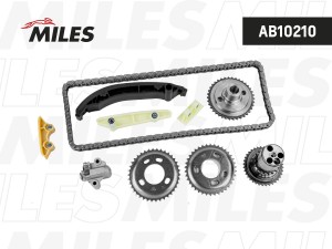 Комплект цепи ГРМ FORD TRANSIT 2.2 TDCi 12- co звездочками (INA 553 0382 10) AB1 AB10210 MILES