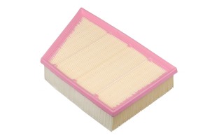 Фильтр воздушный LAND ROVER Freelander (2.0),Range Rover Evoque (11-) (2.0/2.2 T AF033 RAF FILTER