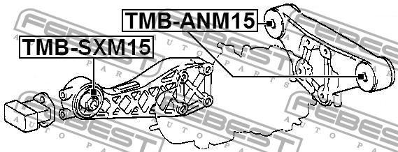 Сайлентблок опоры дифференциала TOYOTA ESTIMA T/L ACR30,40,MCR30,40 1999.12-2006 TMB-ANM15 FEBEST