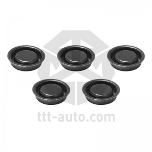 р/к диcкового тормоза! 5(п) к-т заглушек BPW\ TSB 3709/4309/4312 19057 TTT AUTO