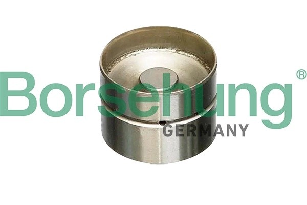 Гидрокомпенсатор BORSEHUNG B18837 BORSEHUNG