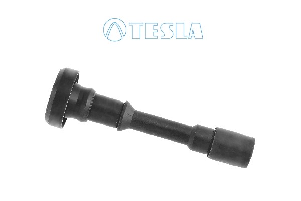 наконечник катушки зажигания!\ Chery Fora/Amulet/Tiggo 06> CP087 TESLA