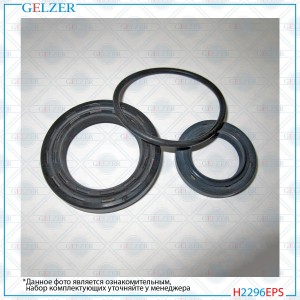 H2296EPS H2296EPS Ремкомплект рулевого механизма Citroen Berlingo, Citroen Berli H2296EPS GELZER
