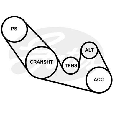 Поликлиновой ремень 6PK1060 (8653-10185) 6-PK-1060 GATES