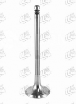 Клапан выпускной VW Jetta (06-11),Passat (06-11) AUDI A3 (05-08),A4 (01-05) AE V94692 AE