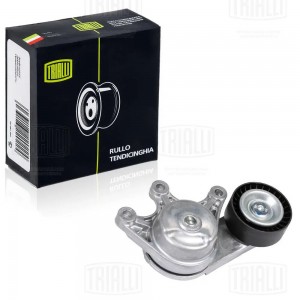 Ролик привод. ремня BMW 3 F30 (11-)/5 F10 (11-) 2.0i [N20;26] (с натяж. мех.) (C CM 2608 TRIALLI