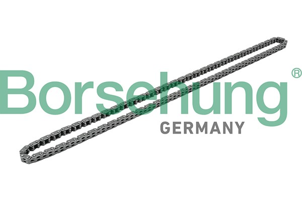 VW TIGUAN (2011-2016) B1C019 BORSEHUNG