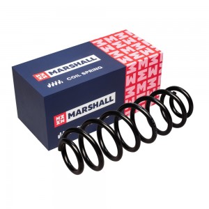 Пружина подвески задн. VOLKSWAGEN: GOLF IV 99- M8031720 M8031720 MARSHALL