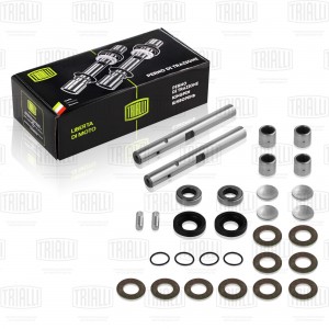 Шкворни для а/м ГАЗ-2410 (2 шт.) в сб. (в упак.) "TRIALLI" SH 0351 TRIALLI