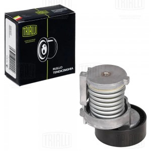 Ролик привод. ремня с натяж. мех. для а м Skoda Octavia (96-) 1.4 1.6 (CM 1840) CM 1840 TRIALLI