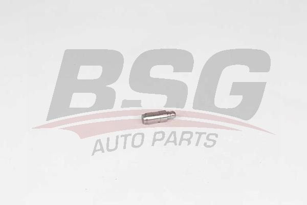 Гидрокомпенсатор AUDI A1 (12-) BSG BSG90122018 BSG