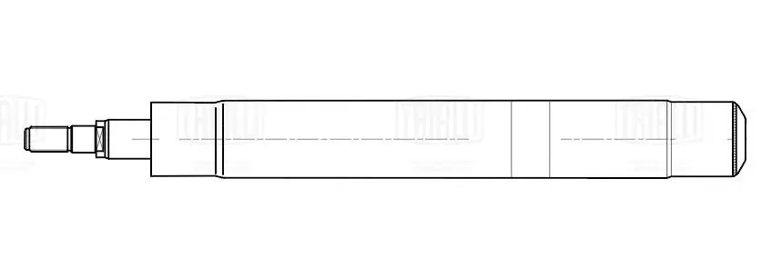Амортизатор Toyota Carina E (92-) (картридж) перед. лев./прав. (AG 19011) AG 19011 TRIALLI