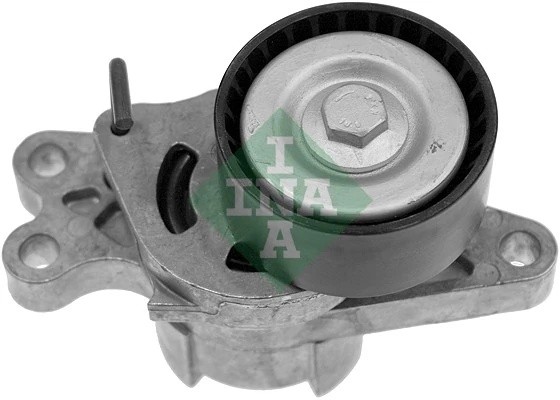 Натяжитель ремня PEUGEOT 206/206+/PARTNER 1.1/1.4 +AC 534017910 534 0179 10 INA