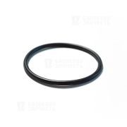 Уплотнитель ВАЗ-1118 насоса топливного БАЛАКОВОЗАПЧАСТЬ 10759 BMRT BALAKOVO