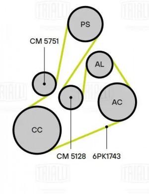 Ролик привод. ремня Land Rover Freelander II (06-) 2.2d (опор.) (CM 5128) CM 5128 TRIALLI