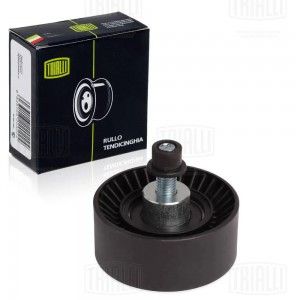 Ролик привод. ремня Fiat Ducato (06-) 2.3 (CM1603) CM 1603 TRIALLI