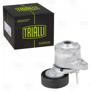 Ролик привод. ремня Kia Soul (08-)/Ceed (07-) 1.6d (выпуск до 2011) (с натяж. ме CM5454 TRIALLI