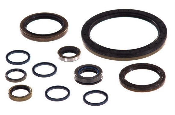 Комплект сальников КПП ZF 16S-151/181/221; 95534146 EURORICAMBI